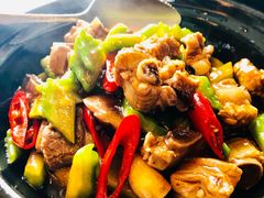 凉瓜排骨-夏阳湖皇冠假日酒店-中餐厅