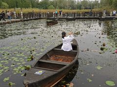 -溱湖国家湿地公园