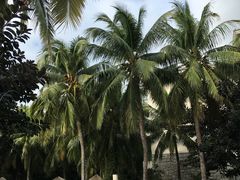 -三亚亚龙湾雅高美爵酒店