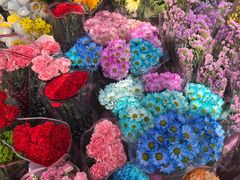 -宝鸡东道花鸟鱼虫市场(吉利花园商场店)