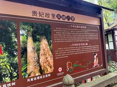-凤栖山