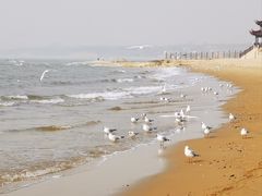 -老虎石海上公园