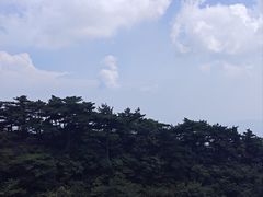 -天柱山风景区