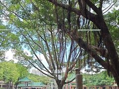 -广东圆玄道观