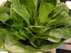 小菠菜-正顺肥牛城(惠泉大街店)