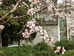 -保利剧院(保利大厦店)