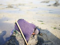 -北海金海湾红树林生态旅游区