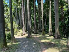 -滴水岩森林公园