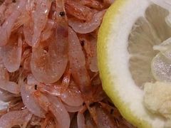 銀座沼津-回転寿司酒場 銀座沼津港