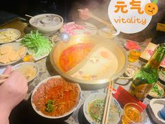 -小龙坎火锅(阳泉店)