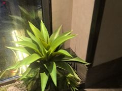 -百富源·海鲜辽菜(浑河堡店)