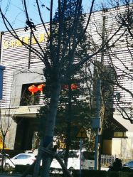 -中国黄金(北京旗舰店)