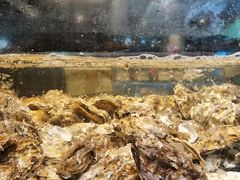 -拉完海鲜大排档(温岭店)