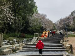 -杭州少年儿童公园