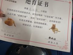 -荔康动物医院(康王北路店)