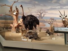 -陕西自然博物馆