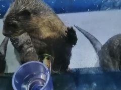 -华夏文旅海洋公园