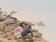 -宝安西湾红树林湿地公园