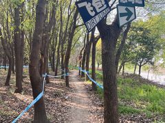 -嘉北郊野公园
