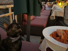 -EATALIA意塔利意式餐厅(鼓楼店)