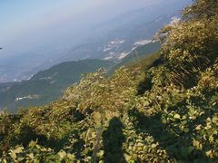 -武陵山森林公园