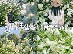 -老鼎万春卤菜(五代传承创始老店)