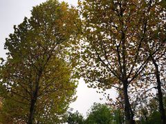 -重庆中央公园(渝北区)