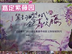 -嘉定紫藤园