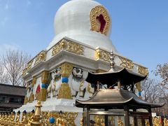 -护国法轮寺