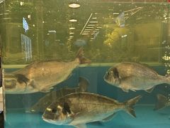 -明本湛江鸡•海鲜小厨(陈家祠店)