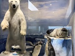 -国家自然博物馆