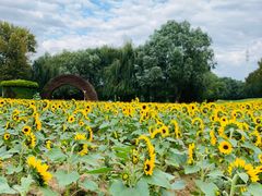 -长白岛森林公园