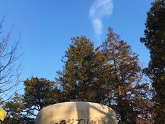 -三鹰之森吉卜力美术馆