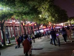 -大雁塔北广场音乐喷泉
