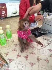 -山西乌金山旅游区