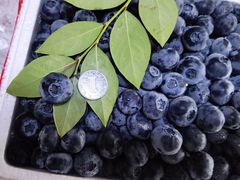 -西郊国际农产品交易中心