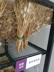 -太湖雪蚕桑文化园