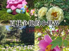 -太阳宫公园