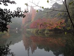 iphone_upload_pic-九溪烟树