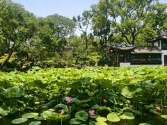 -颐缘居·南翔小笼馆