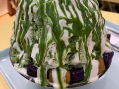 -王守财小山園