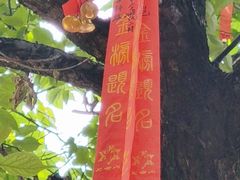 -七曲山风景区