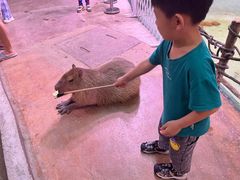 -正佳雨林生态植物园