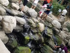 -白水寺森林公园