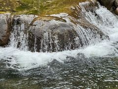 -牛背梁国家森林公园