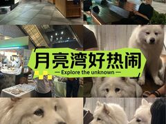 -瑞虹新天地月亮湾