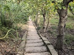 -金堂县云顶石城风景区