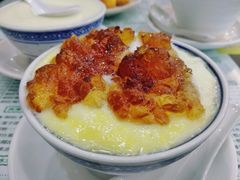 桃胶双皮奶-仁信老铺(华盖路店)
