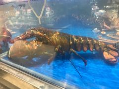 -盒马鲜生(财富中心店)