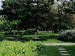 -绿堤公园